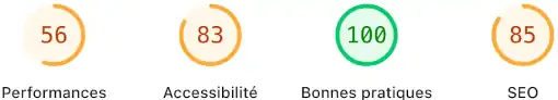 Pagespeed: résultats avant optimisation Divi